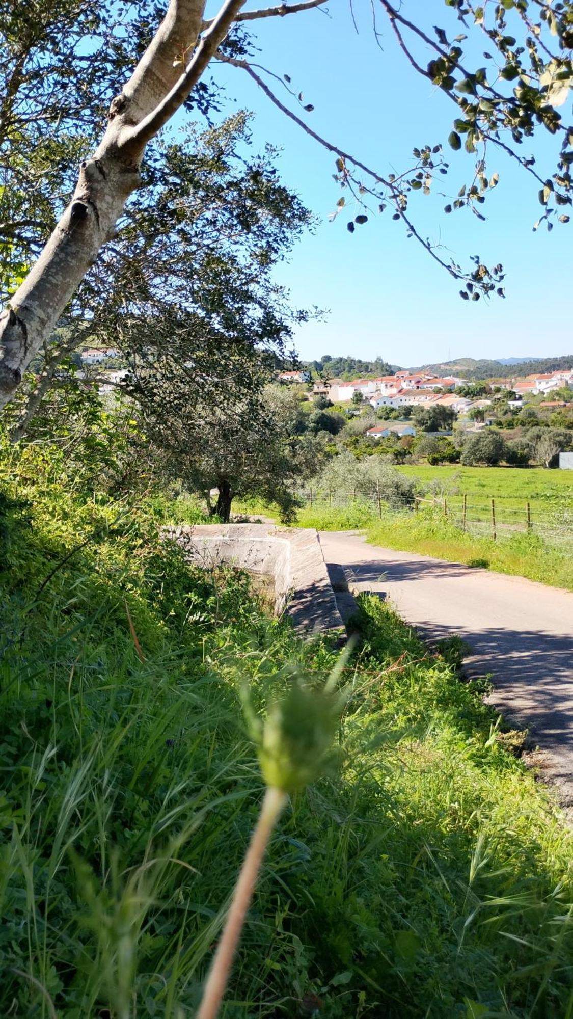 Paraiso Da Aldeia São Bartolomeu de Messines Eksteriør billede